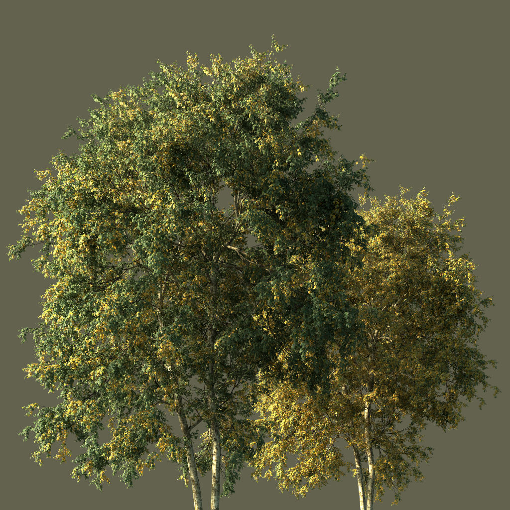 PaperBirchFall3DTrees