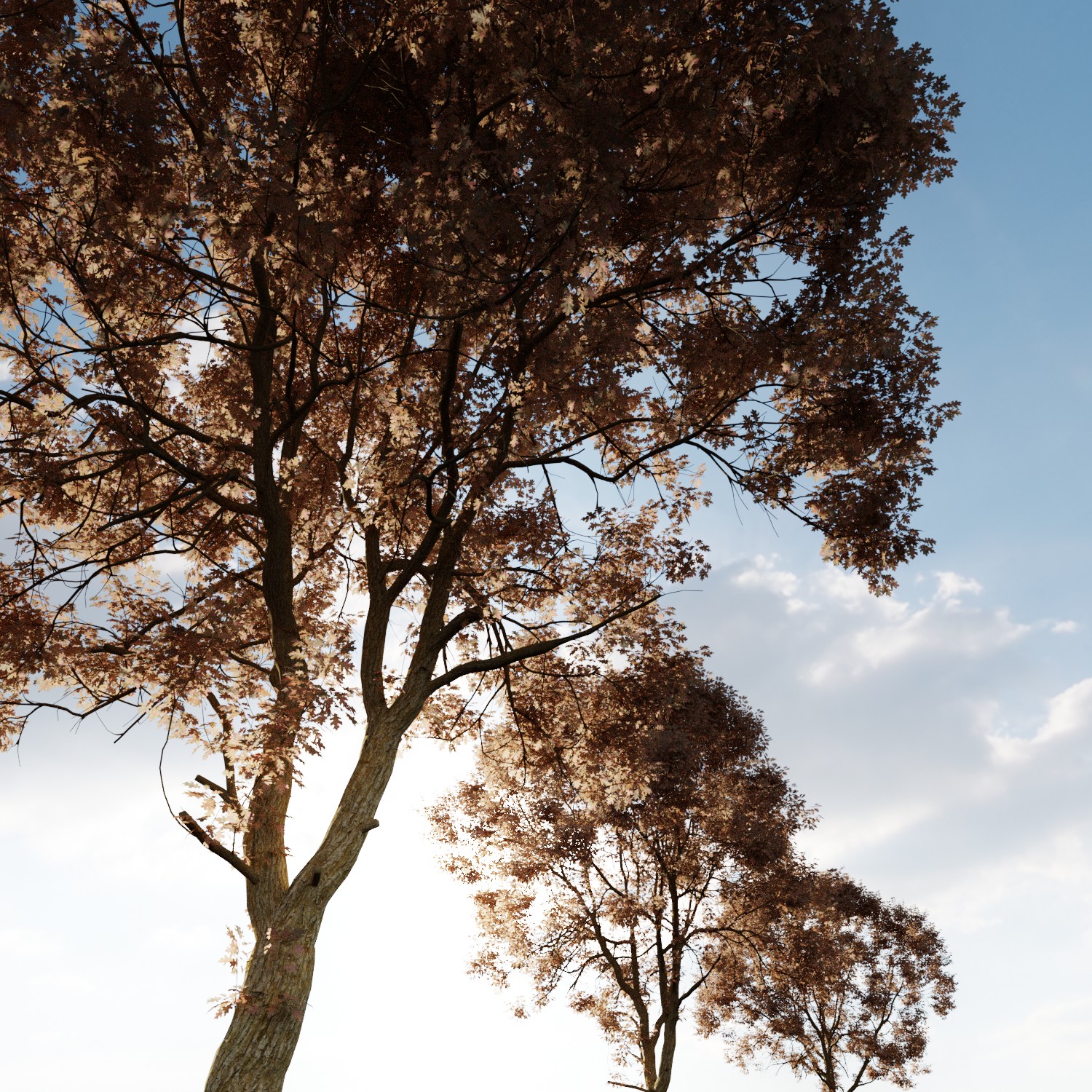 blender trees particles blender trees particles